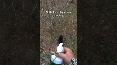 Trolling the Black Bear