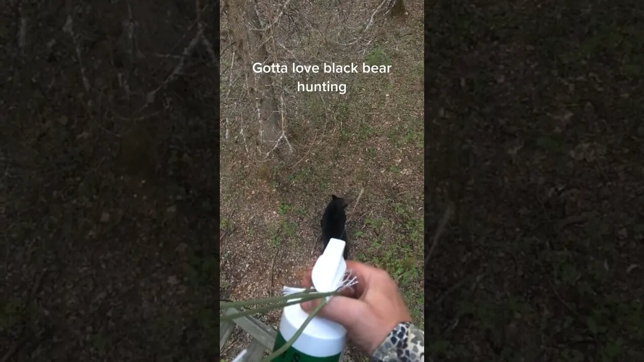 Trolling the Black Bear
