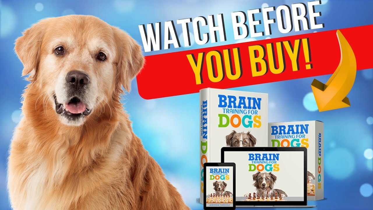 Brain Training for Dogs Review: Transform Your Dog’s Behavior & Intelligence!