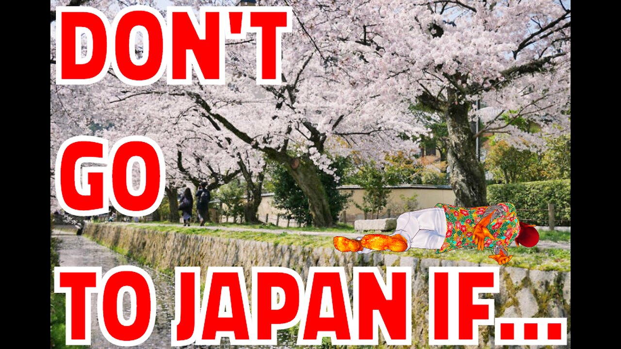 Onii-san's Guide to Vacationing in Japan #vtuber #japan #travel