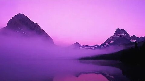 Embracing the Untamed Beauty of Nature