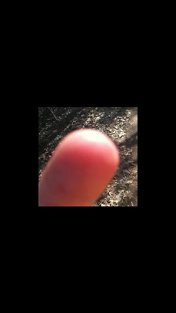 iPhone 4 Throwback to 2010... Hagg Lake 50K Trail Run