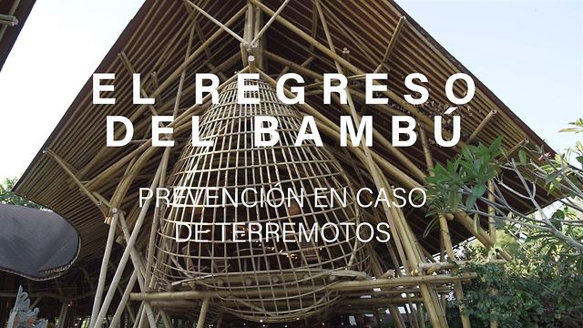 El regreso del bambú