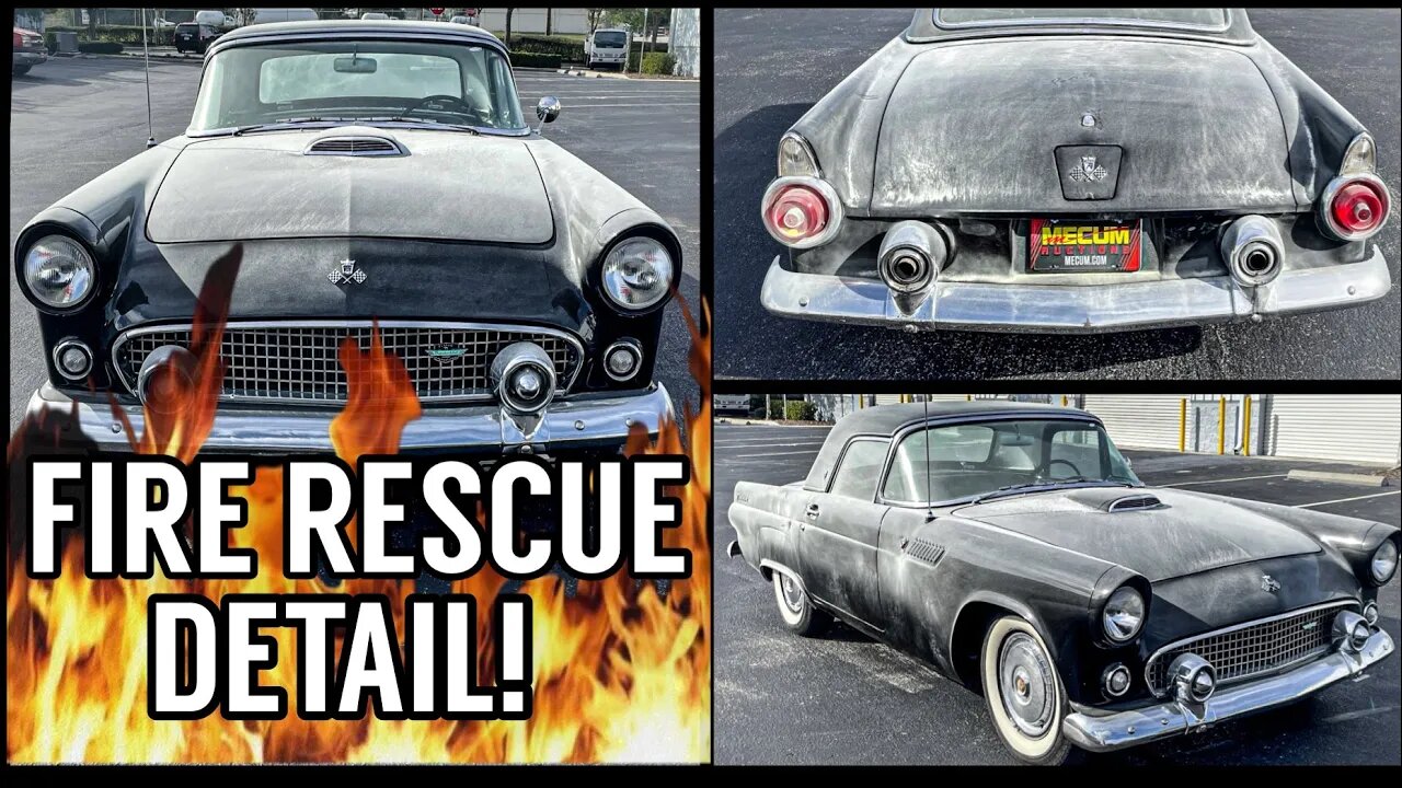 Deep Cleaning a Classic Ford Thunderbird | Auction Car Rescue | Insane Detailing Transformation!