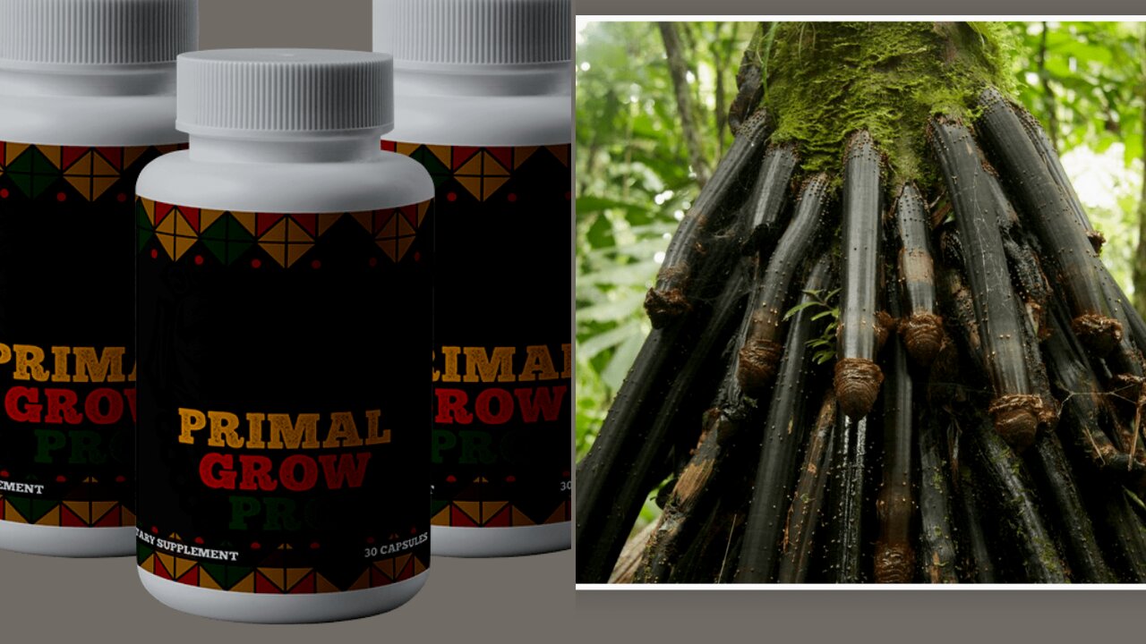 Primal Grow Pro - Primal Grow Pro Reviews ? "African Penis Ritual" Unlocks Your Penis' TRUE Size