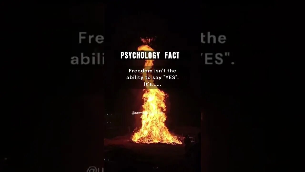 Is this freedom for you? #freedom #yes #no #introvert #introvertstruggles #psychologyfacts #life