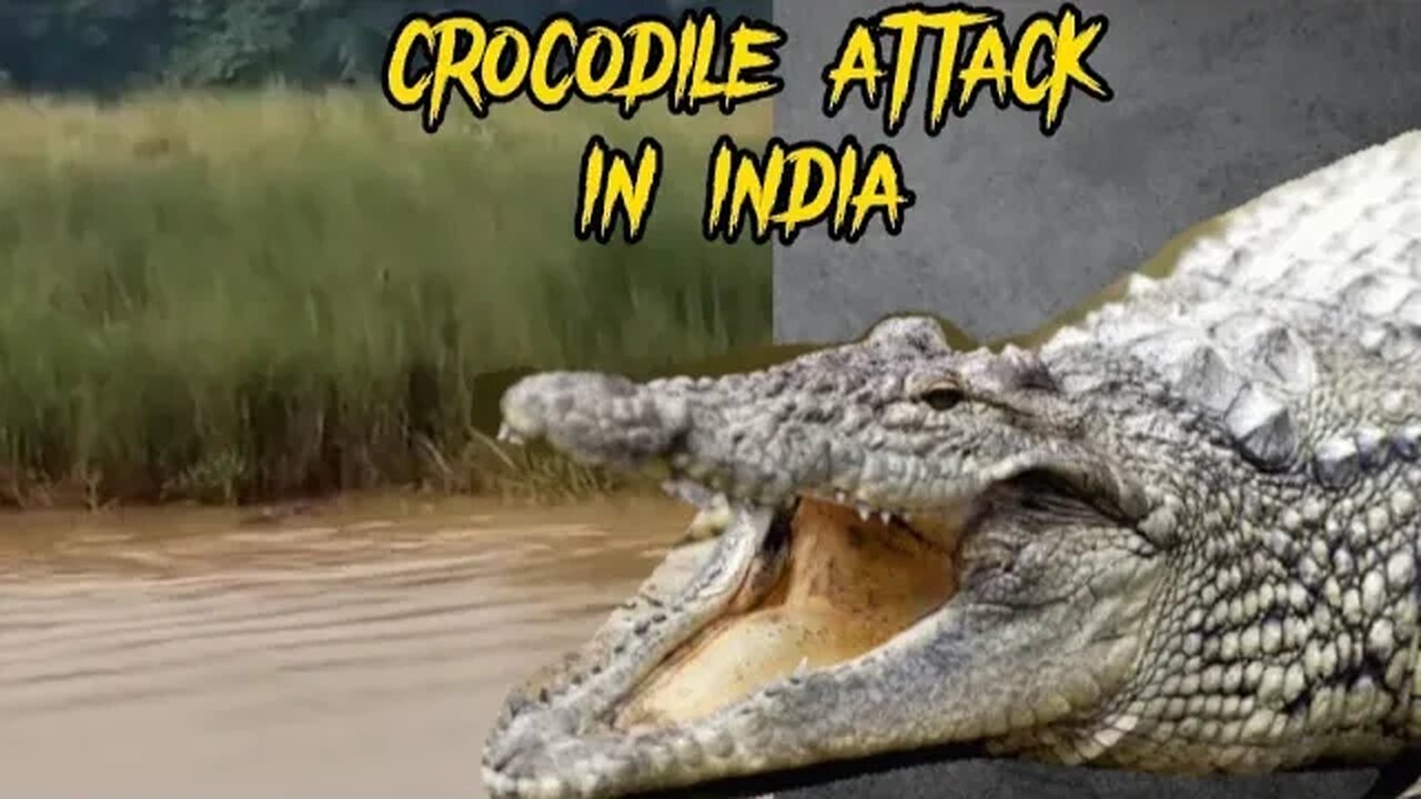 Crocodile Eats woman in India