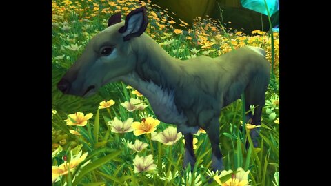 World of Warcraft Grey Tailed Doe Deer Chased Me For Miles Glitch? Its kid too Dragonflight