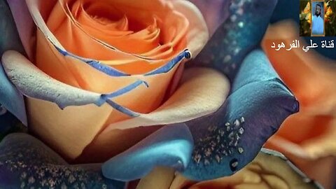 تلاوات خاشعه ومؤثرة من القرآن الكريم قناة علي الفرهود@ALIAL-FARHOUD