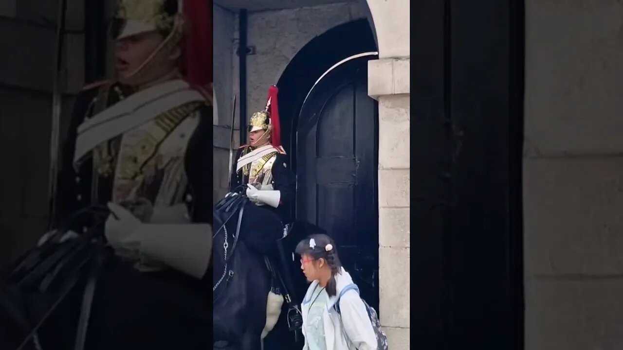 Don't stand in front of the box #horseguardsparade