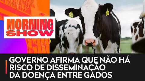 Estado do Pará confirma caso de “vaca louca”