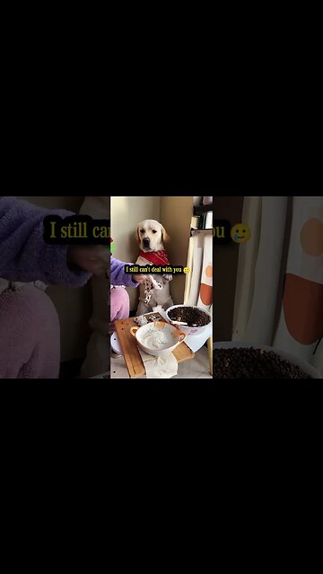 Dog : You really dare to do it, but I really dare not eat it