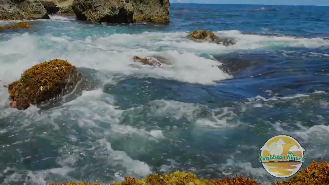 Sounds of the ocean waves crashing on rocks in the Caribbean Sea