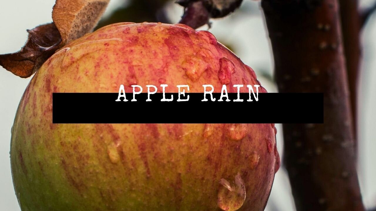 Relaxing Music & Soft Rain | Apple Rain | Zenful Meditation Space