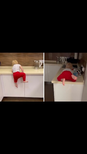 Athletic 1-year-old Parkours The Kitchen Counter With Ease
