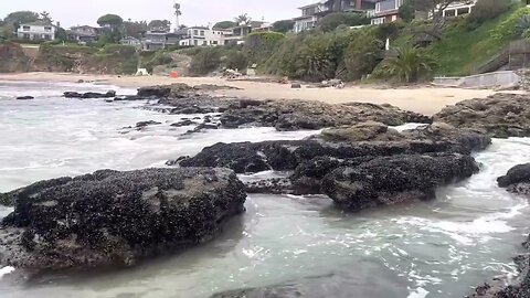 Shaw’s Cove Laguna California Low Tide Pools