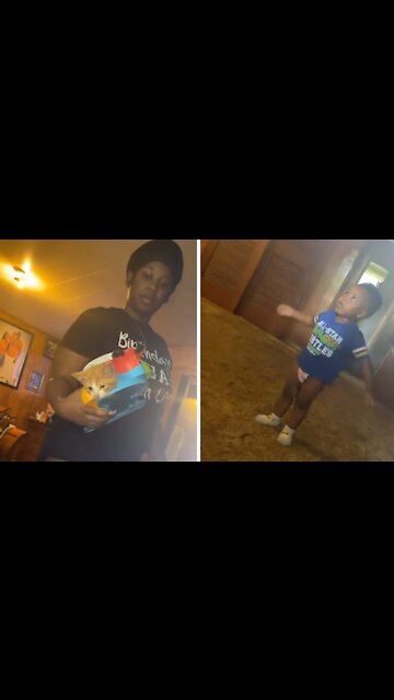 Little Boy Traps His Kitten Inside A Toy