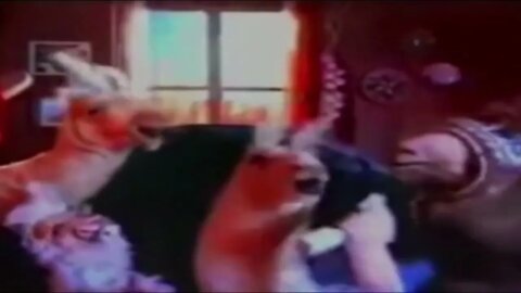 La Llama que llama - Llama... - Telecom - Publicidad (1999-2002)