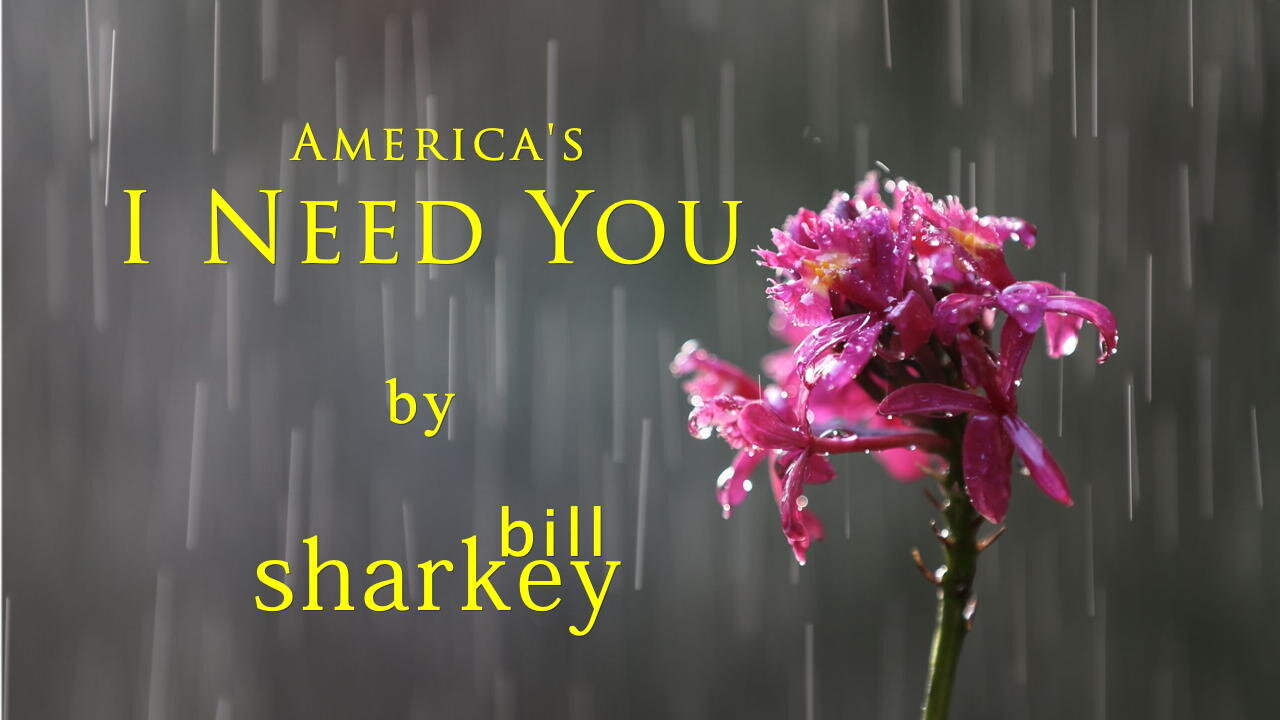 I Need You - America (cover-live by Bill Sharkey)