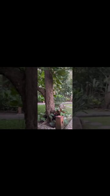 #comalamexico #travelmexico