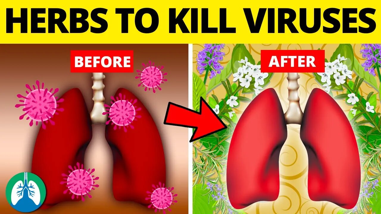 Top 10 Herbs for Lung Health, Clearing Mucus, COPD, and Killing Viruses