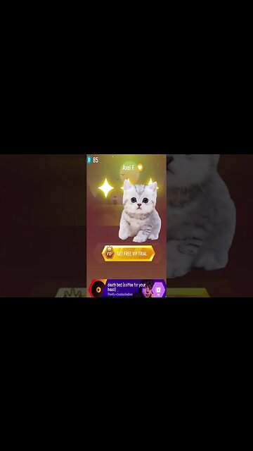 cat sing money lisa blackpink part 2 #shorts #music #blackpink #tileshop