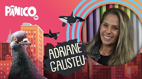 ADRIANE GALISTEU | PÂNICO - AO VIVO - 11/06/20