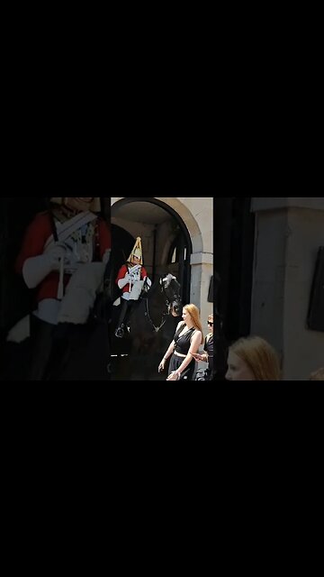 Both jump when arnie show his teeth #horseguardsparade