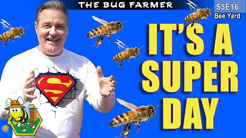 Adding Honey Supers | Front Row Inspection #beekeeping #HISEA