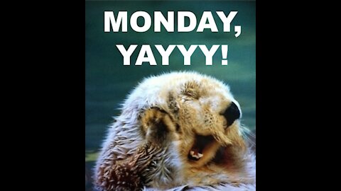 You Don't Say? - "MEME MONDAY!!" APR. 26, 2021