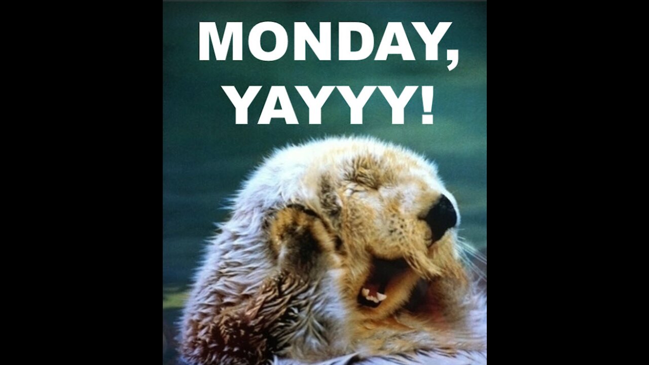 You Don't Say? - "MEME MONDAY!!" APR. 26, 2021