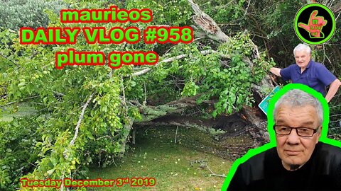 maurieos DAILY VLOG #958 plum gone