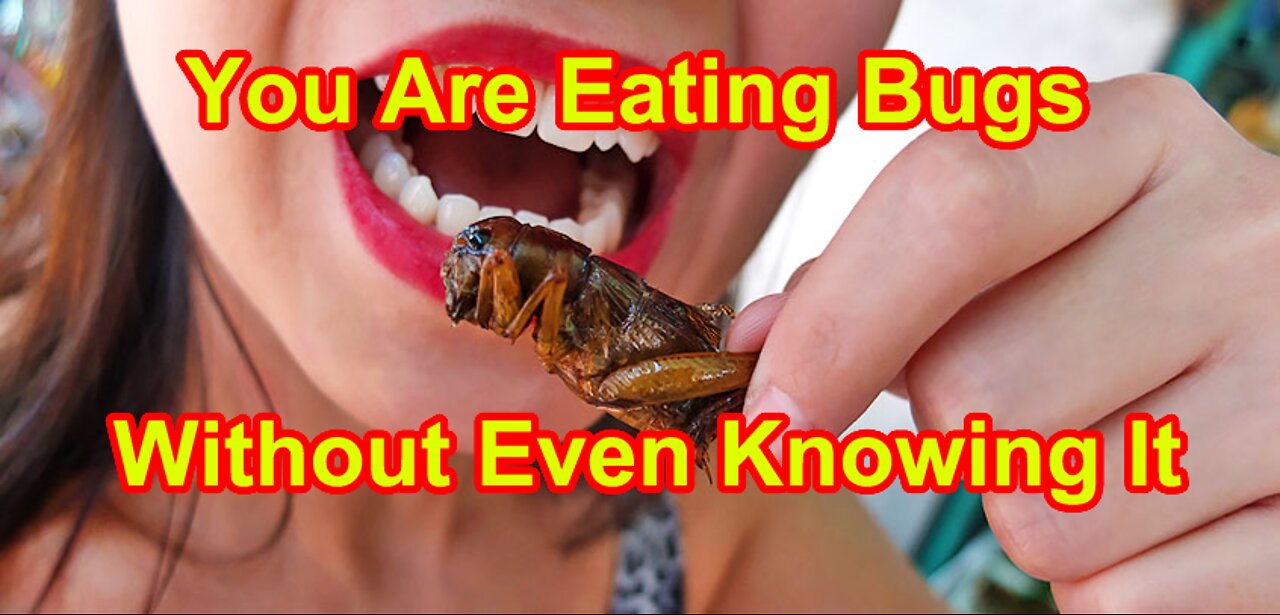 You Are Eating Bugs Without Even Knowing It