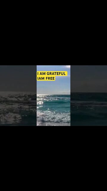 I AM FREE I AM GRATEFUL 🦋#shortsfeed #goodvibes #spiritualawakening #affirmations #calm #gratitude