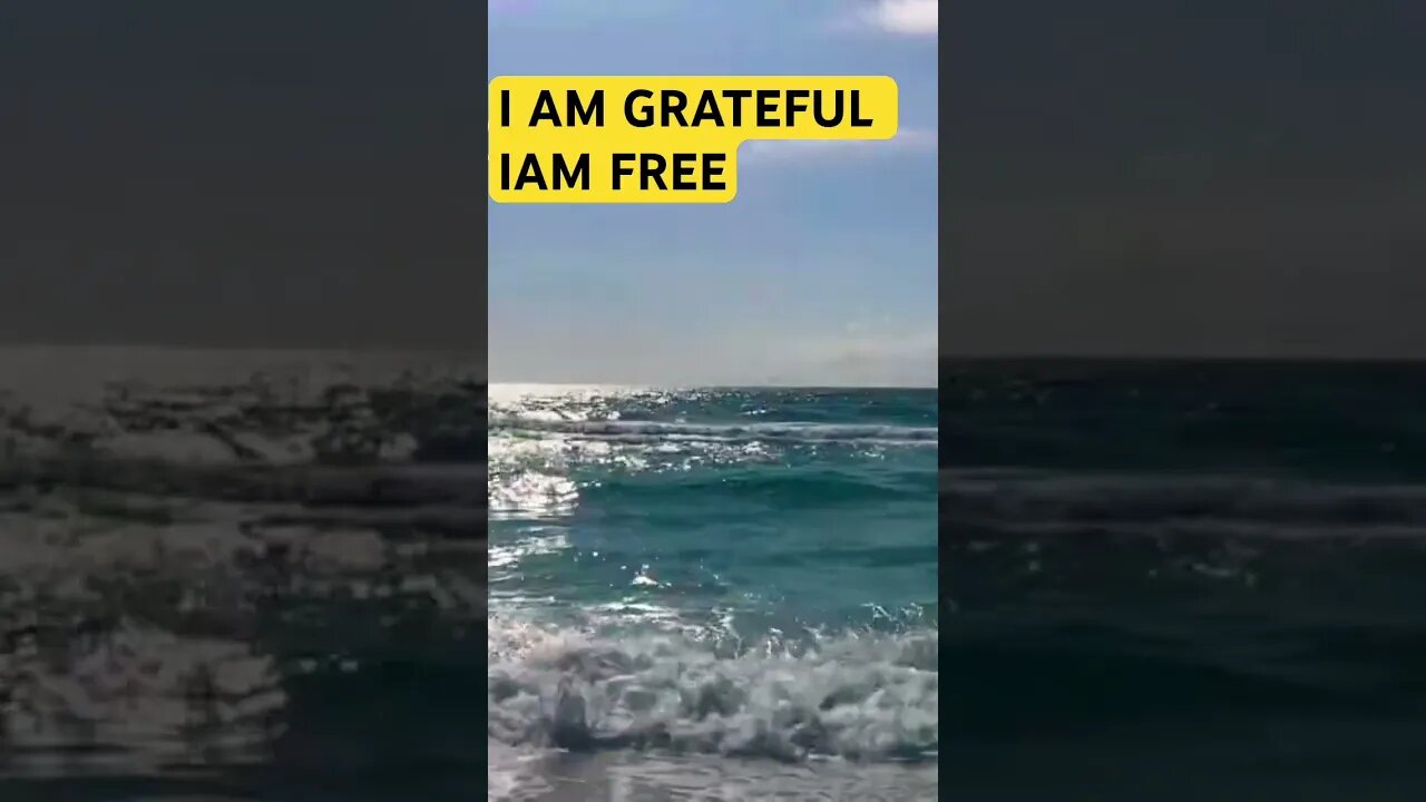 I AM FREE I AM GRATEFUL 🦋#shortsfeed #goodvibes #spiritualawakening #affirmations #calm #gratitude
