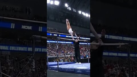 Kayla DiCello (Florida) 9.975 on Bars - 2023 NCAA Championships Finals #shorts