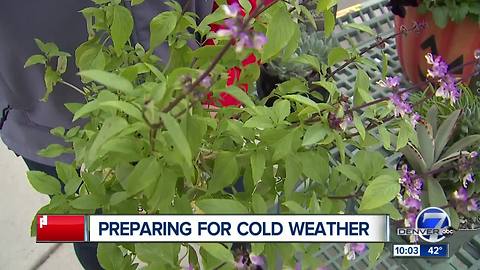 Cold weather concerns