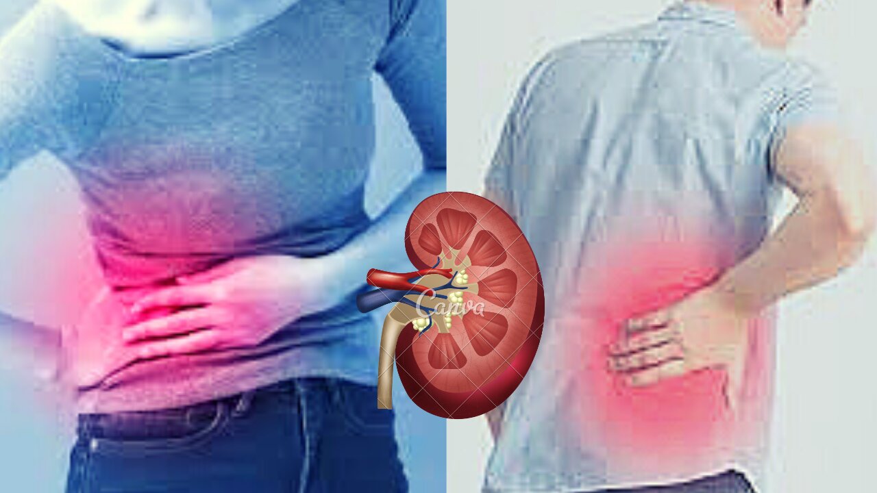 6 SIGNS YOUR KIDNEYS ARE CRYING FOR HELP