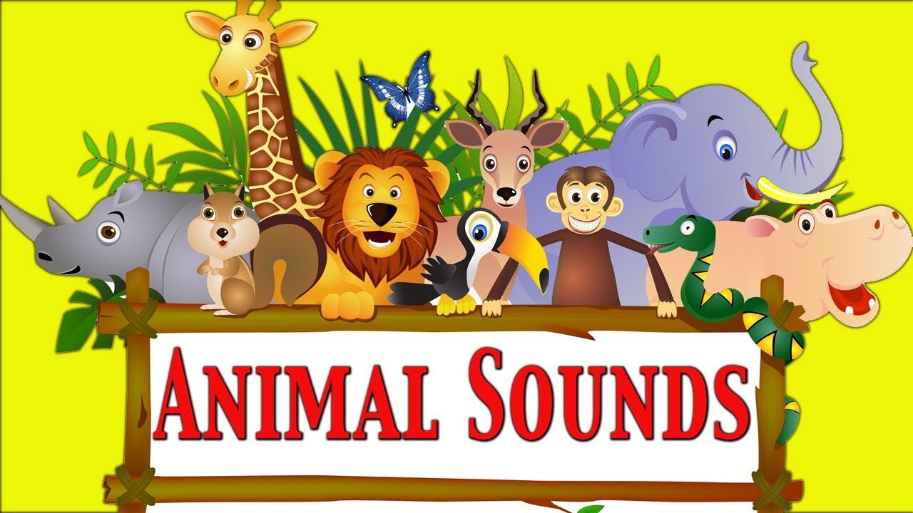 34 Amazing Animal Sounds - Kids Compilation!