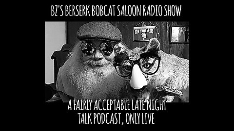 BZ's Berserk Bobcat Saloon Radio Show, 12.05.24: Hacking, Hegseth, Healthcare, Hearings