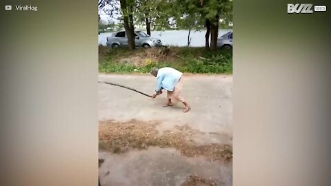 Nonnina ammazza un serpente a mani nude