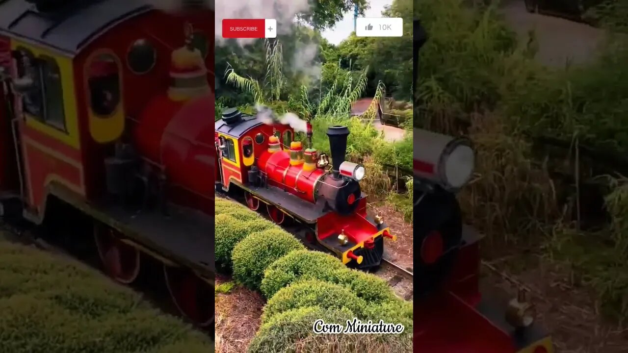 Steam Trains at Garden || #short #shorts #kereta #keretaapi #train #railway #steamtrains #miniature