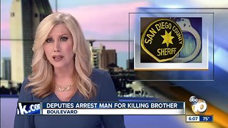 Man accused of shooting older brother to death in Boulevard