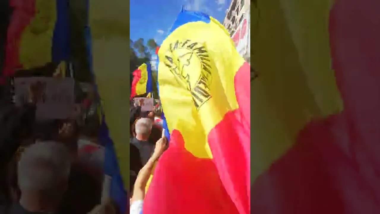 Vive la reunion!