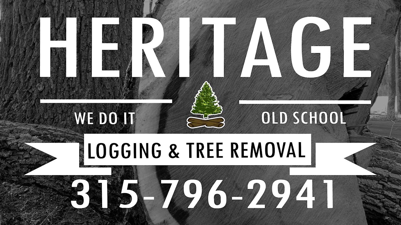 AMAZING tree service at work (Heritage Logging and Tree Services)