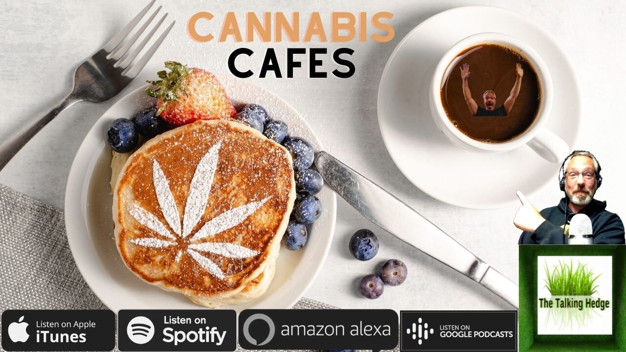 Cannabis Cafes & Cannabis Tech Intersect