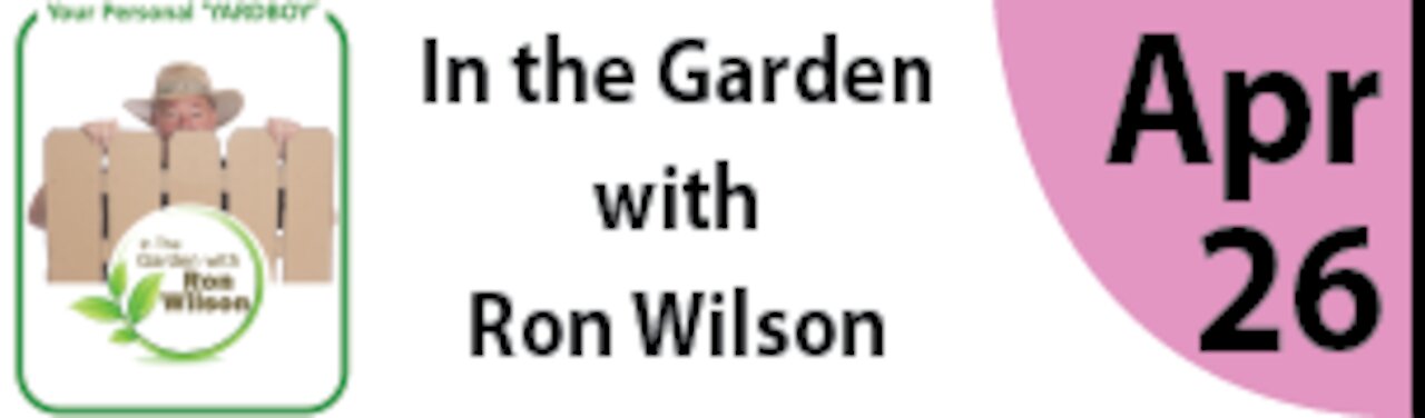 In the Garden with Ron Wilson