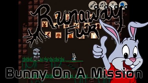 Runaway Fur - Bunny On A Mission