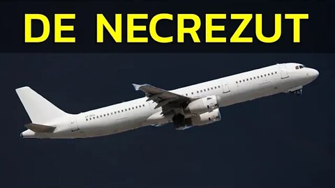ȘARPELE ERA ÎN AVION