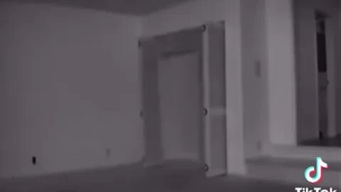 The Entity